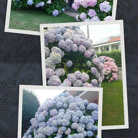 B&B L'Ortensia Vignolo المظهر الخارجي الصورة