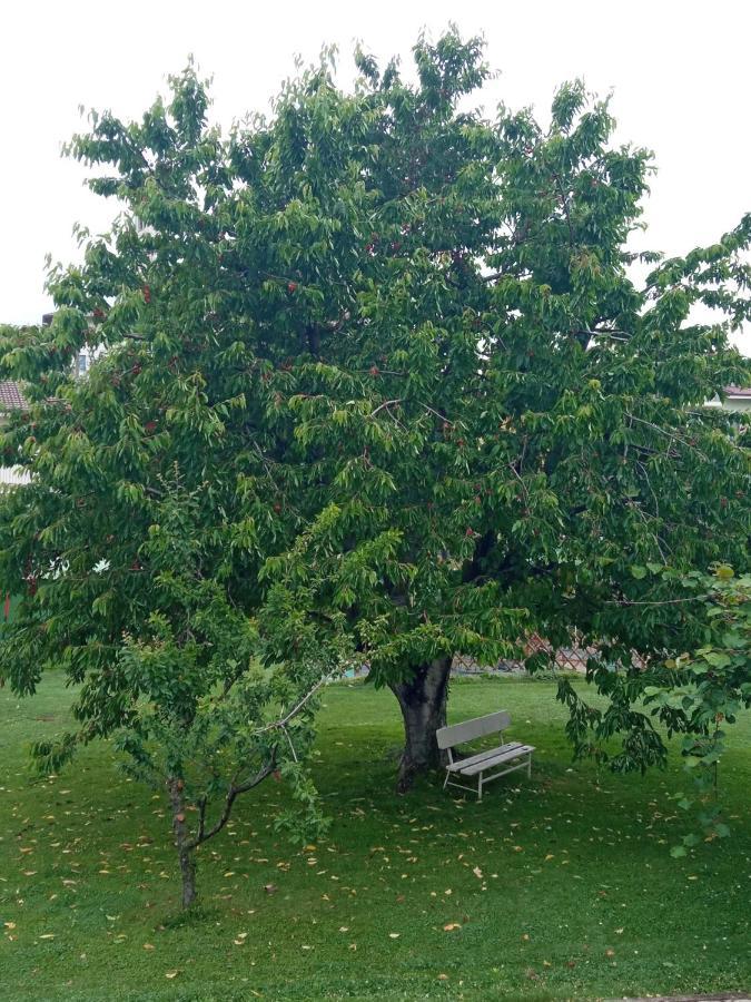 B&B L'Ortensia Vignolo المظهر الخارجي الصورة